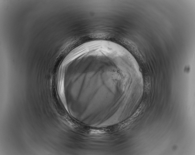 X0000098190167200805151213