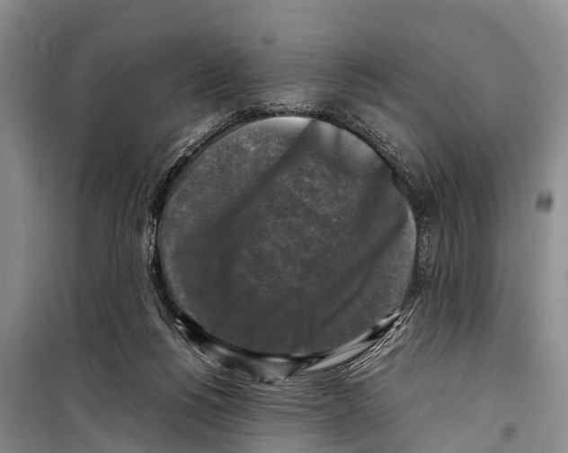 X0000098190168200805151213