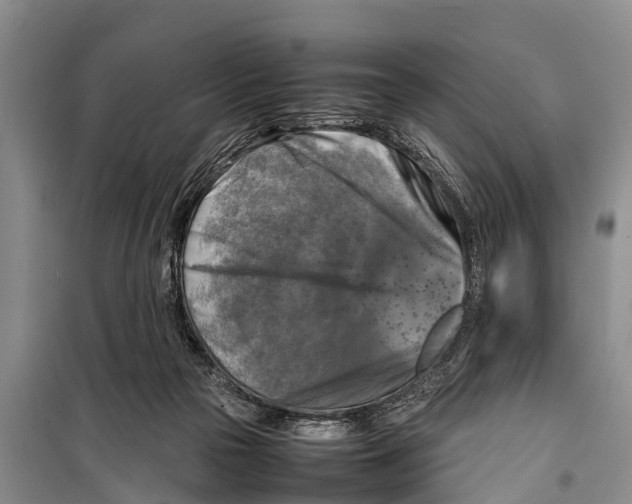 X0000098190169200805151213