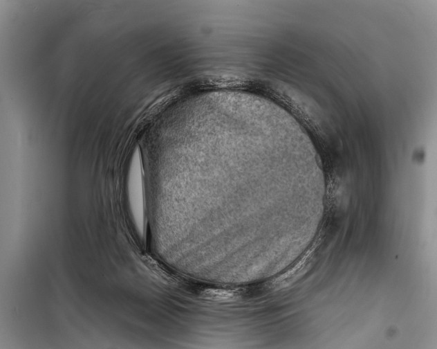 X0000098190170200805151213