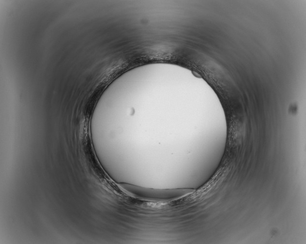 X0000098190172200805151213