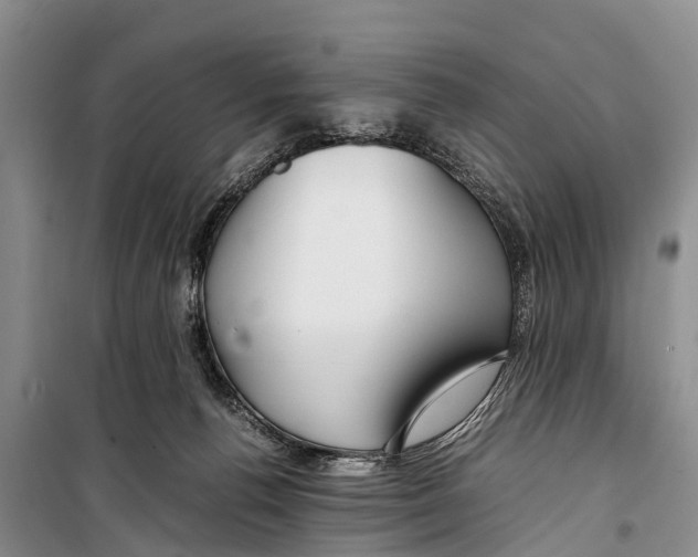 X0000098190176200805151213
