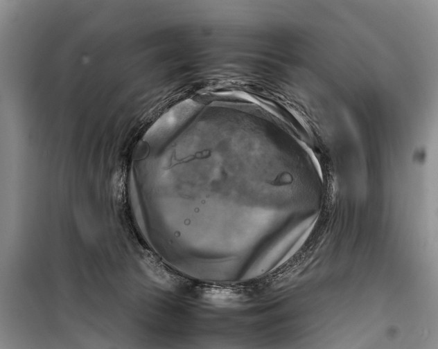X0000098190177200805151213