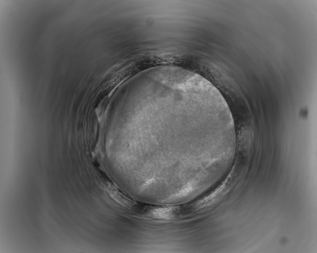 X0000098190178200805151213
