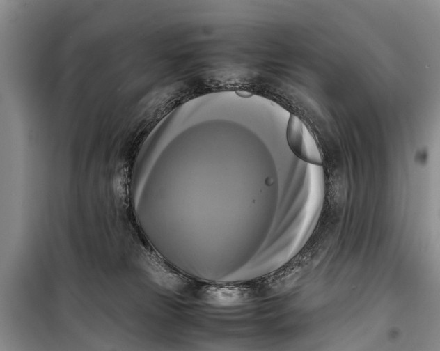 X0000098190181200805151213
