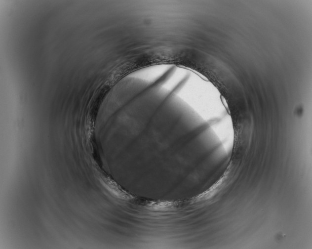 X0000098190186200805151214