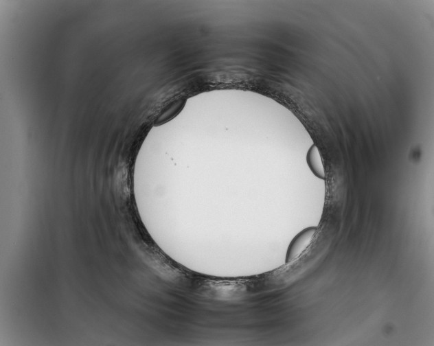 X0000098190187200805151214