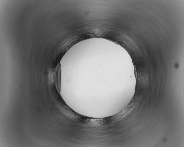 X0000098190188200805151214