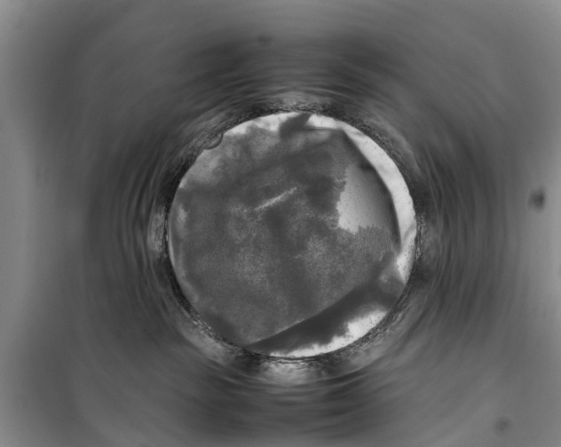 X0000098190189200805151214