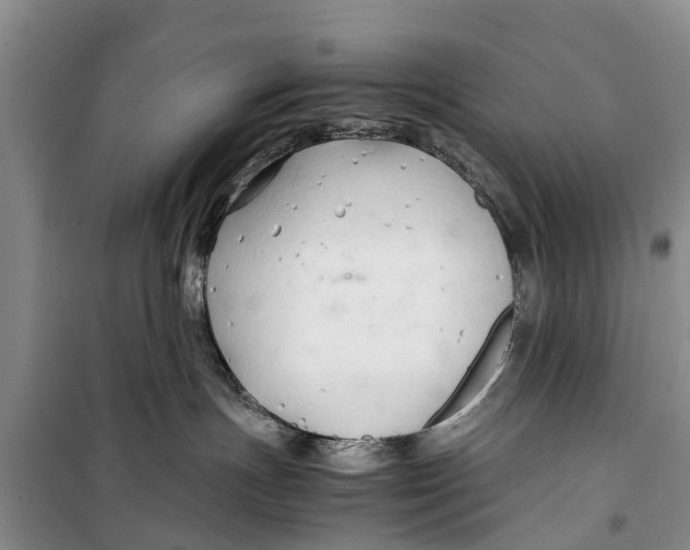 X0000098190191200805151214