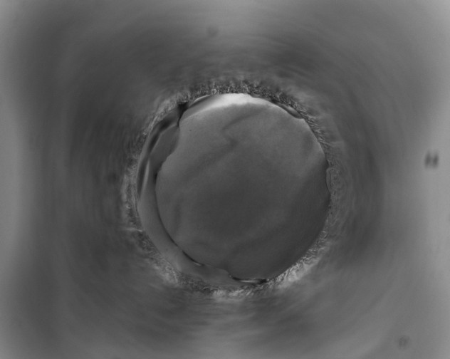 X0000098190192200805151214