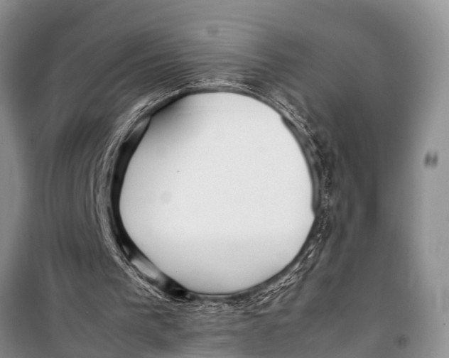 X0000098190193200805151213