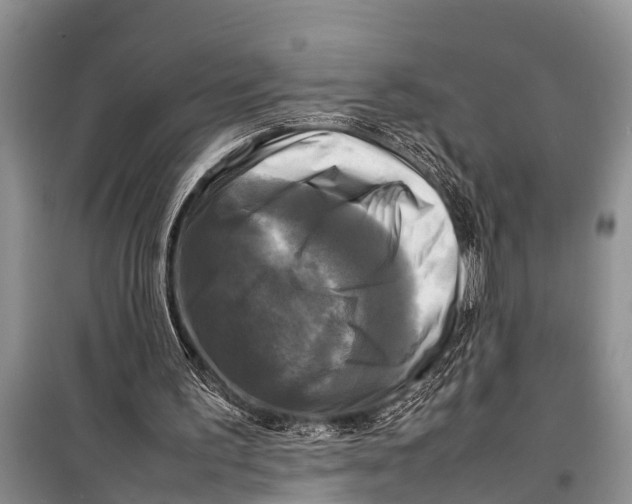 X0000098190195200805151213