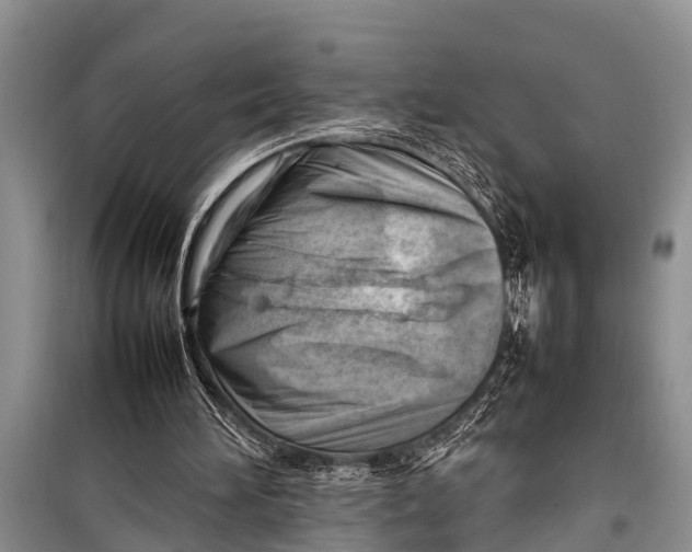 X0000098190196200805151213