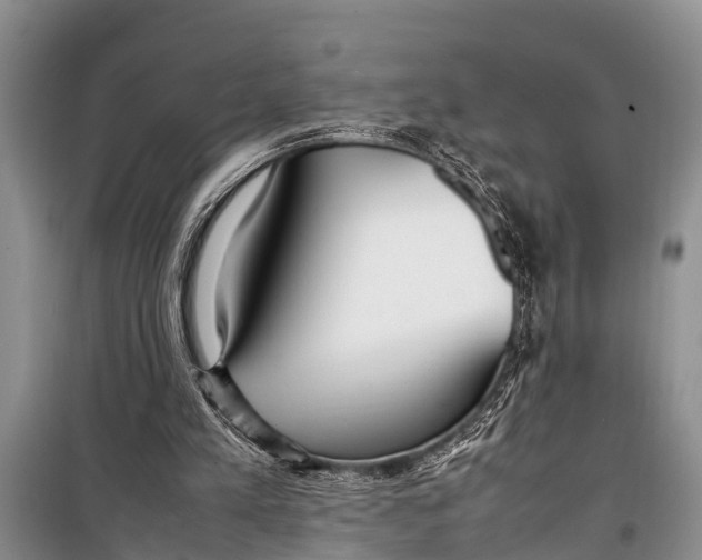 X0000098190197200805151213