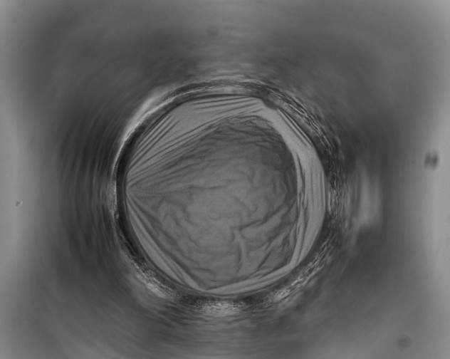 X0000098190198200805151213