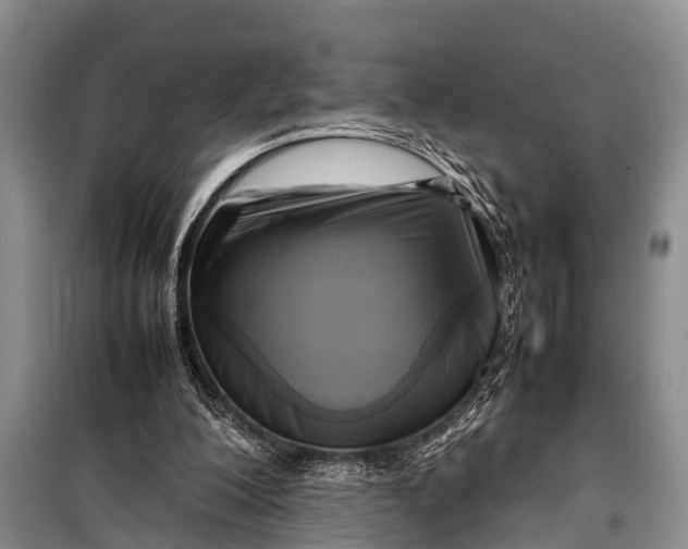 X0000098190200200805151213