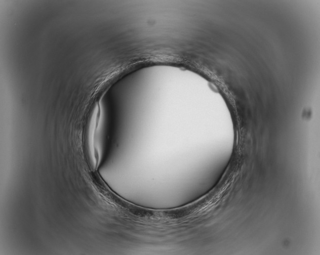 X0000098190201200805151213