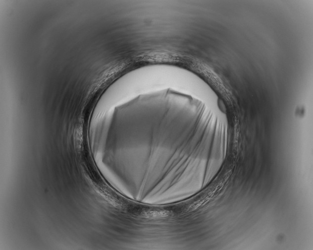 X0000098190202200805151213