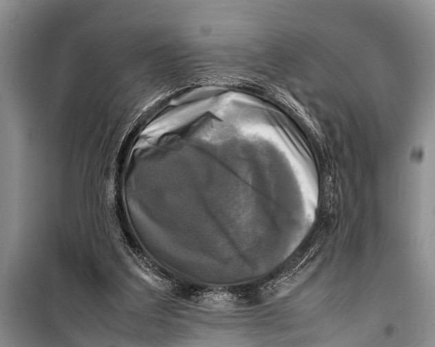 X0000098190203200805151213