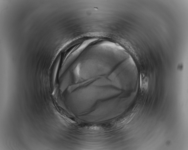 X0000098190204200805151213