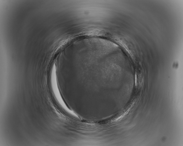 X0000098190205200805151213