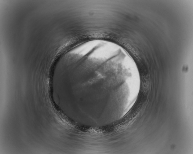 X0000098190207200805151213