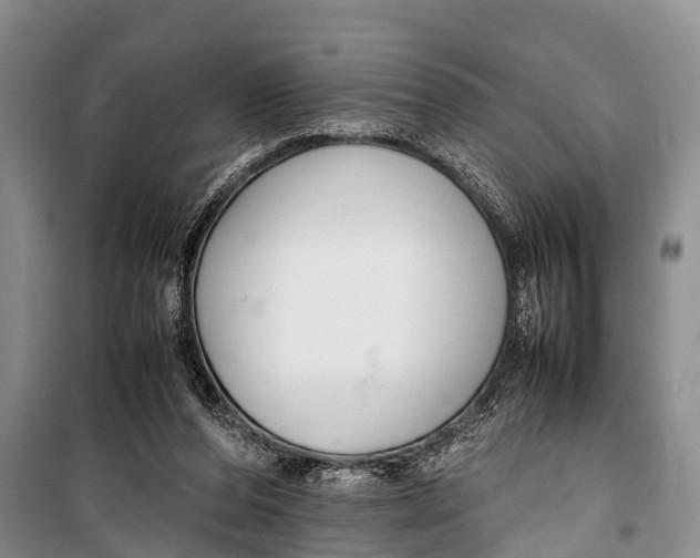 X0000098190208200805151213
