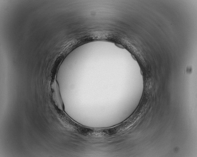 X0000098190209200805151213