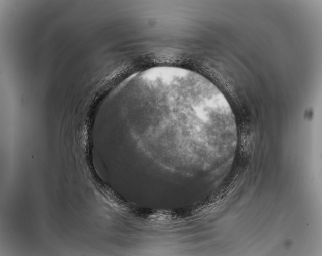X0000098190211200805151213