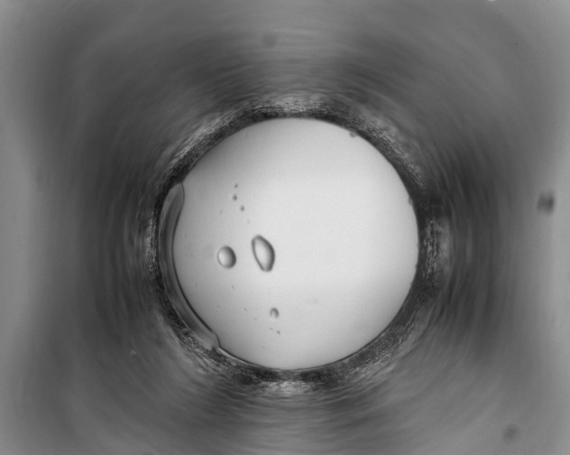 X0000098190212200805151213