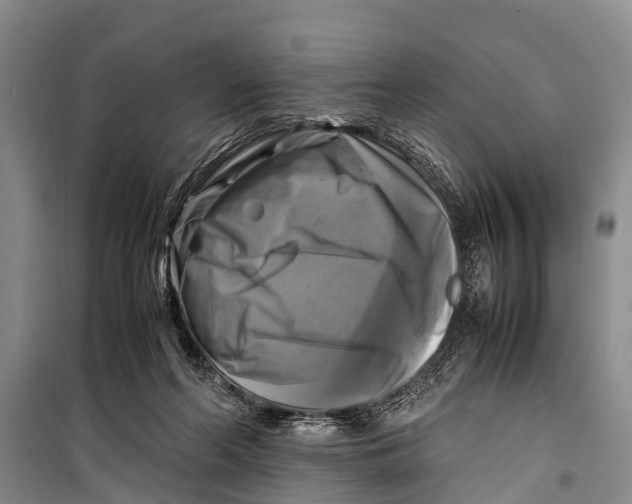 X0000098190214200805151213