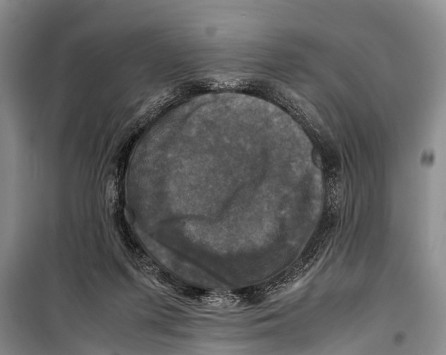 X0000098190215200805151213