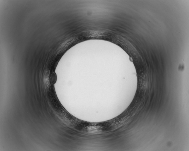 X0000098190216200805151213