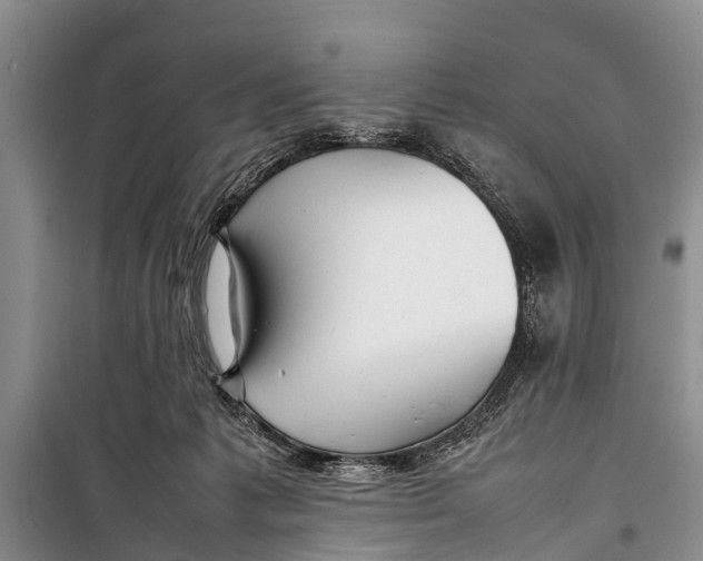 X0000098190221200805151212