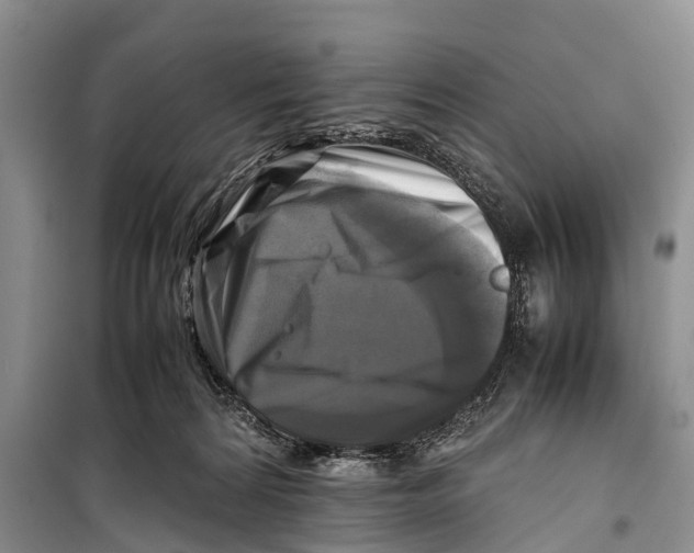 X0000098190224200805151212