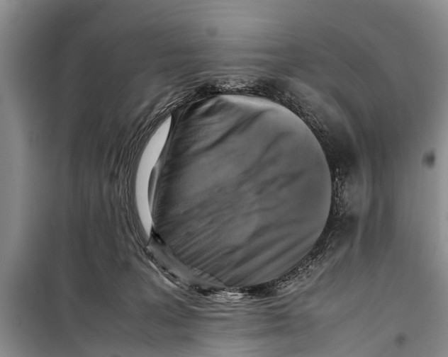 X0000098190227200805151212