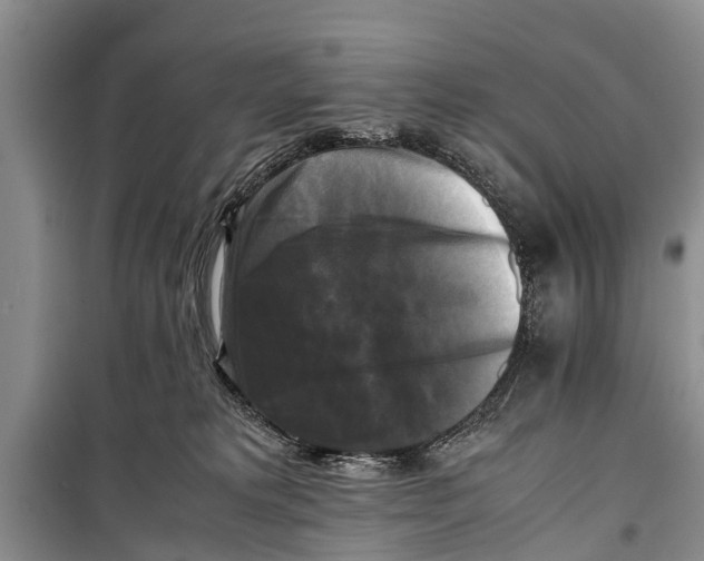 X0000098190229200805151212