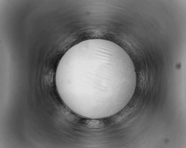 X0000098190230200805151212
