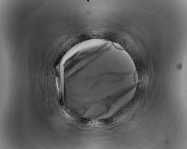 X0000098190231200805151212