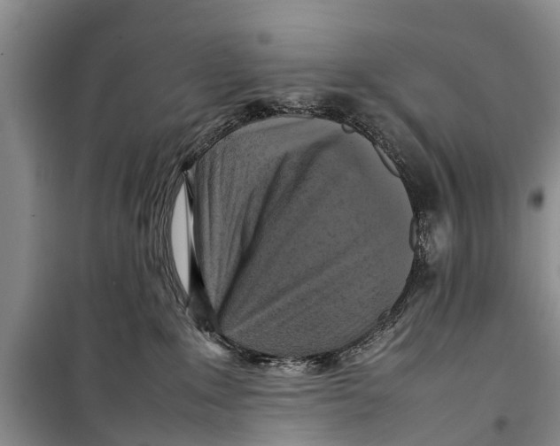 X0000098190235200805151212