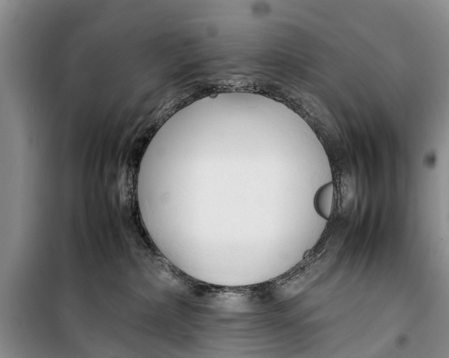 X0000098190236200805151212