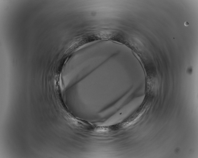 X0000098190237200805151212