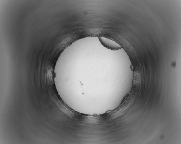 X0000098190238200805151212