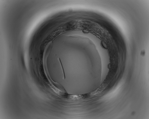X0000098190239200805151212