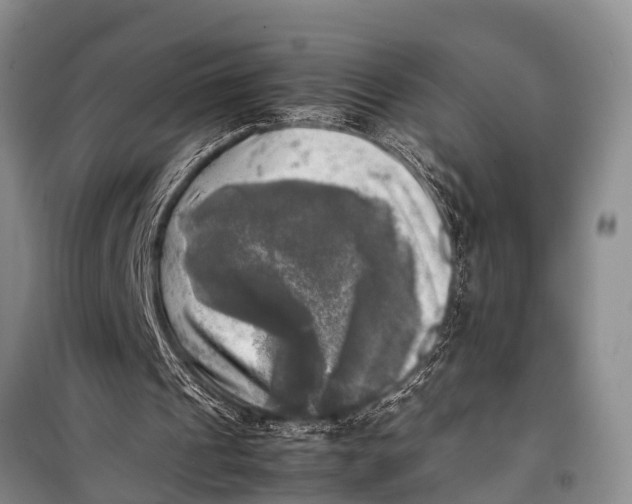 X0000098190241200805151212
