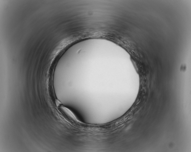 X0000098190242200805151212