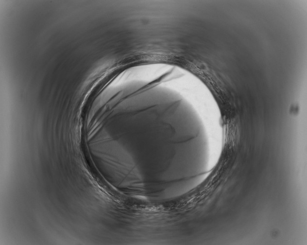 X0000098190243200805151212