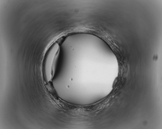 X0000098190244200805151212