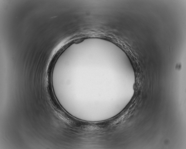 X0000098190246200805151212